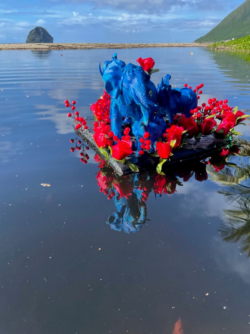 L'arrivée des éléphants bleus